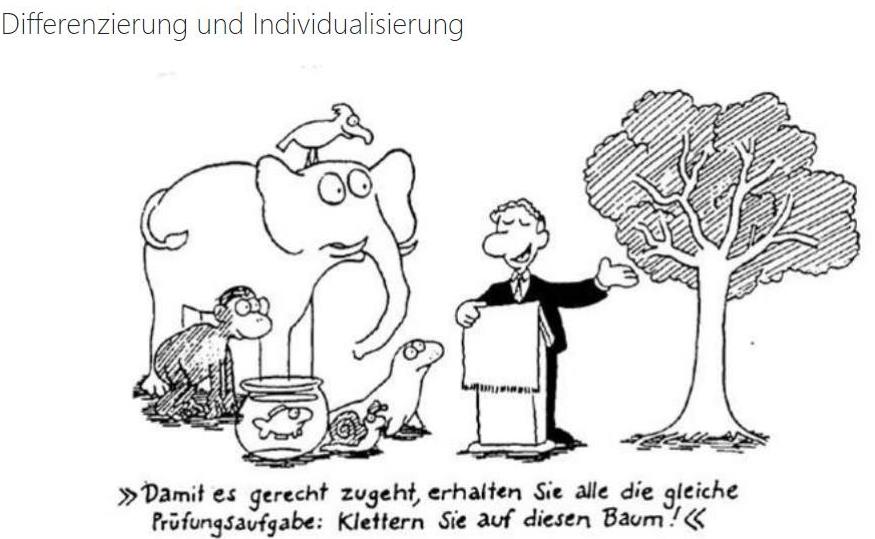 12.jpg 12.jpg