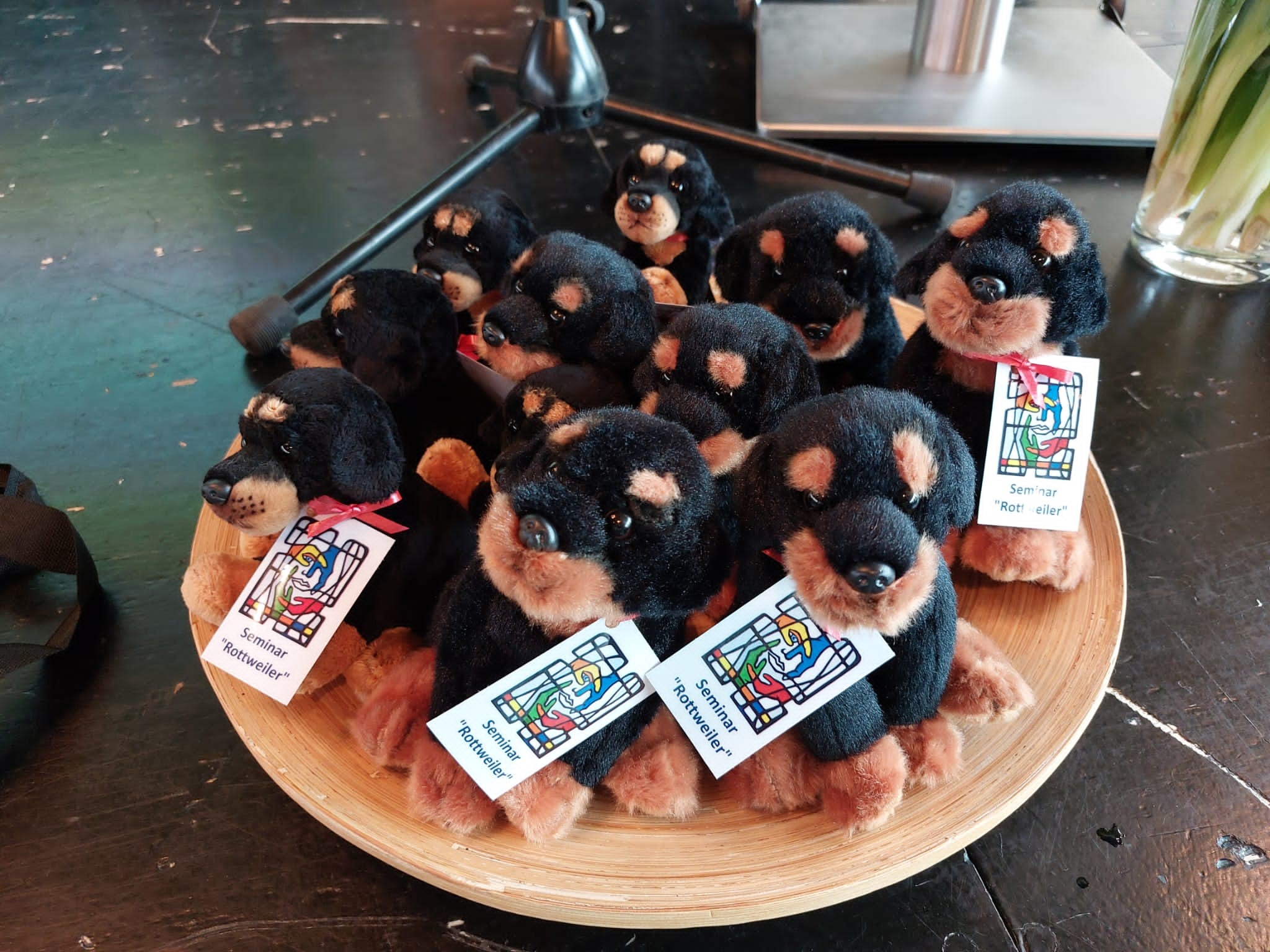 Rottweiler.jpg